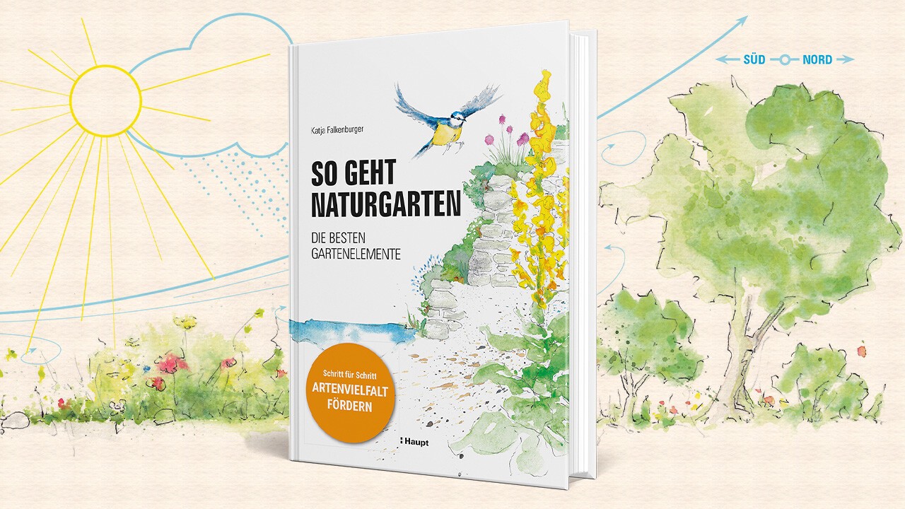 Buch «So geht Naturgarten»