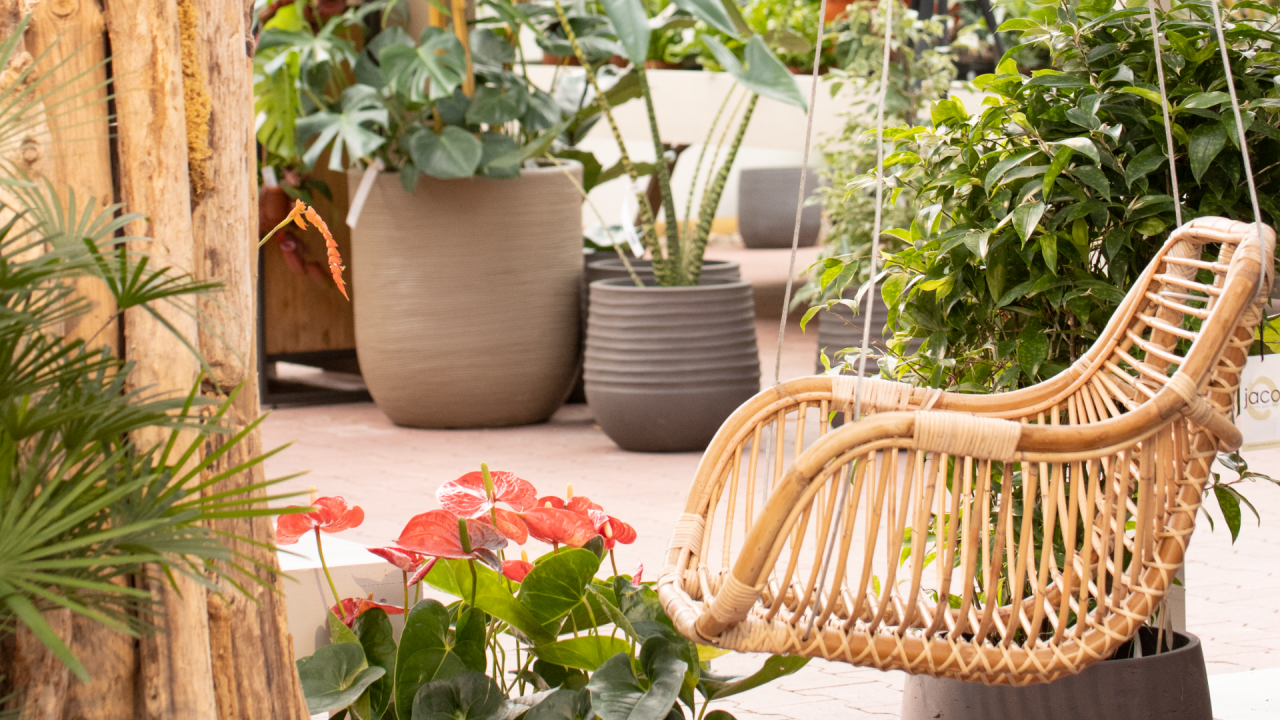 Urban Jungle – Jungle Atmosphere at the Fällanden Garden Center