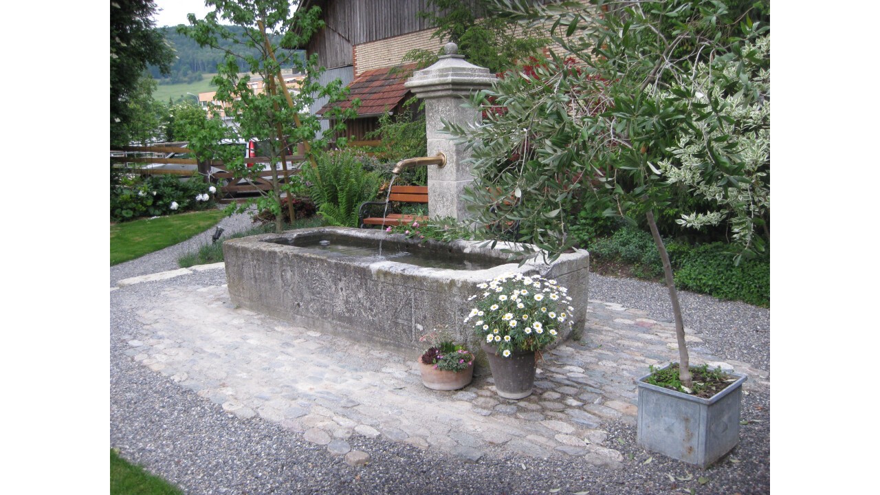 Historischer Brunnen für das spezielle Ambiente