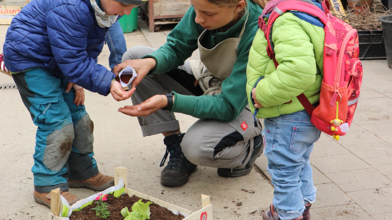 Kinder machen ihr Gärtli in der Kiste