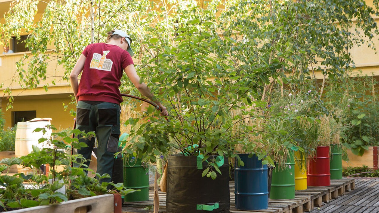 Garten-Schaupiel im Atrium by VEG and the City