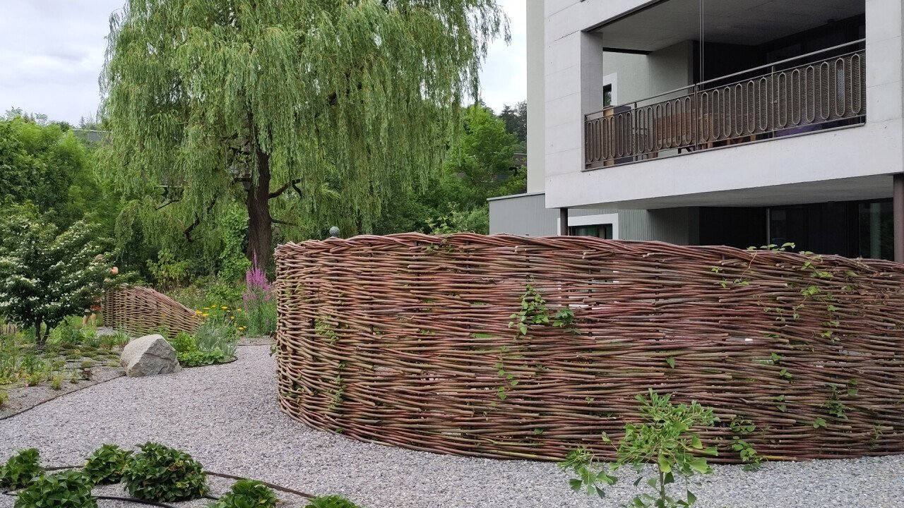 Willow fence unico, curved shape
