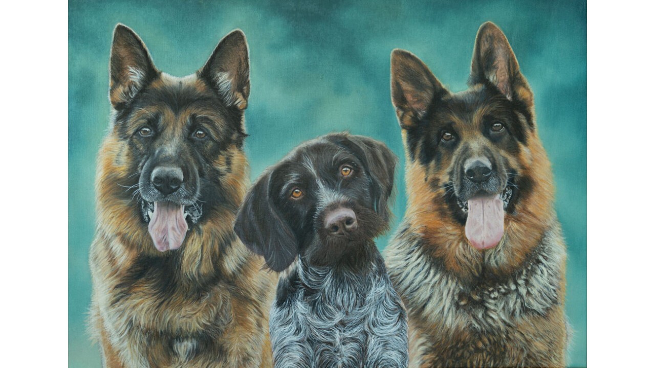 Hundeportrait