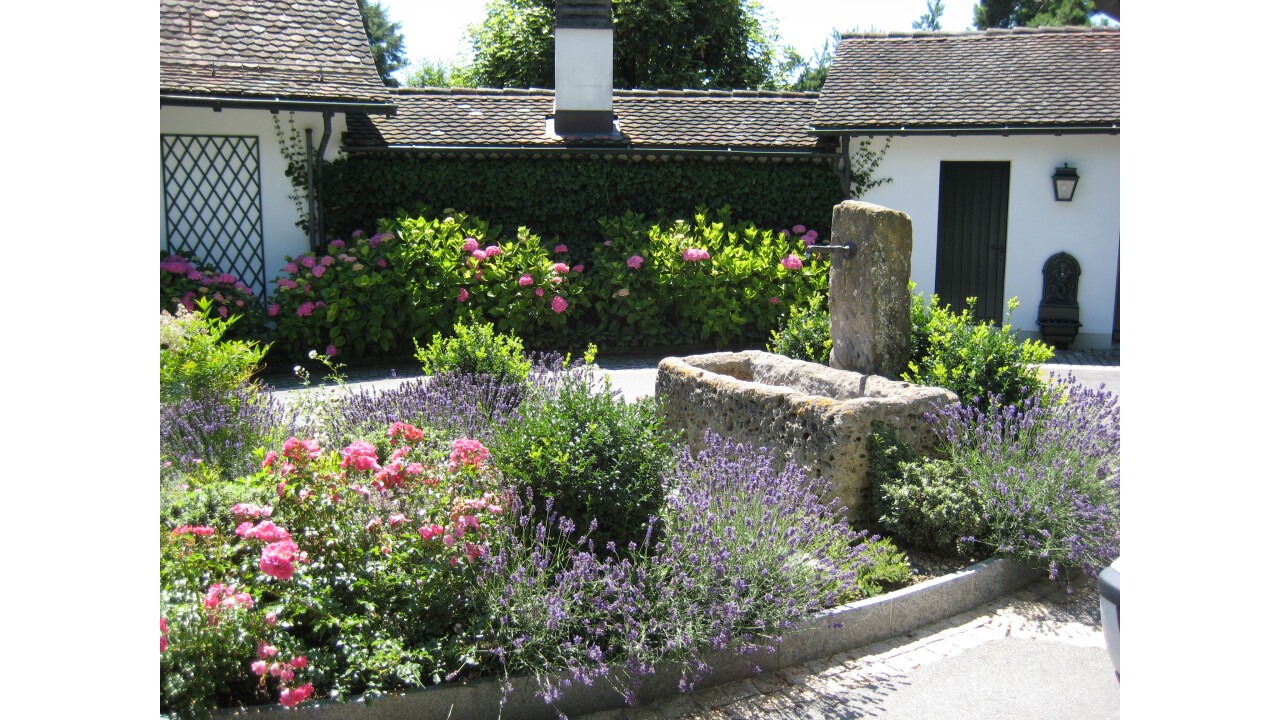 Historischer Brunnen als Blickfang