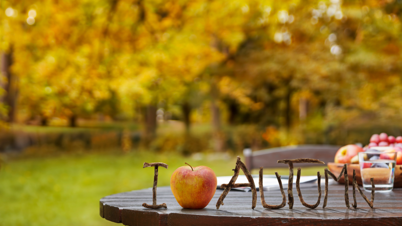 Neuer Kurs: Der Herbst und seine Arbeiten im Naturgarten