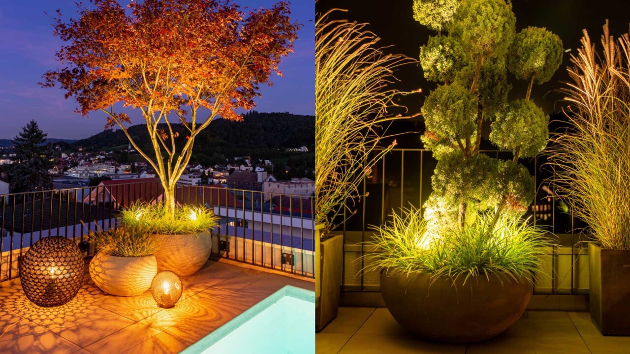 Raffinierte Lichtakzente setzen Pflanzen auf Terrassen gekonnt in Szene