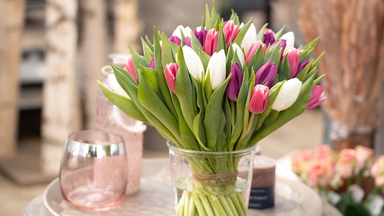 Freshly picked tulip bouquet 