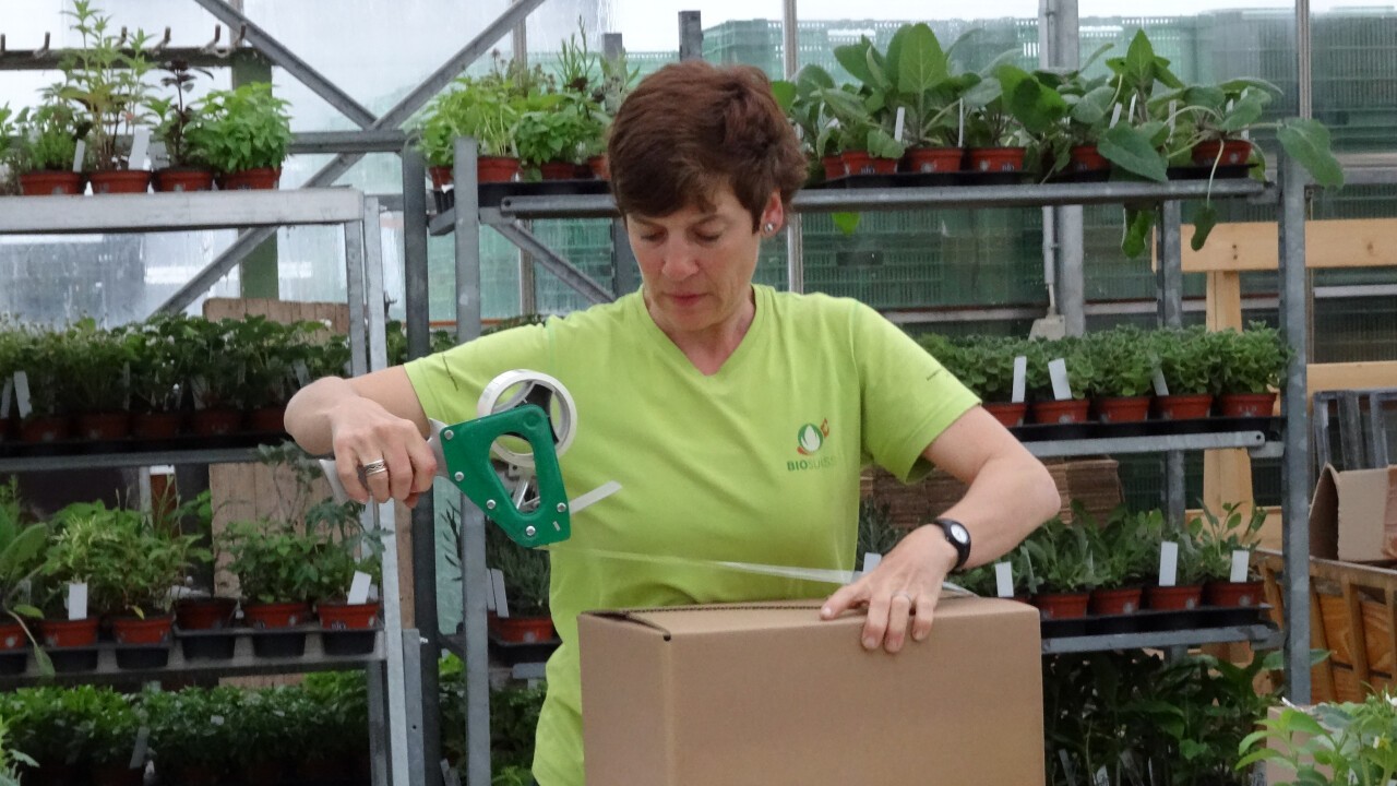 Pflanzenversand für Balkon und Garten, Hilfsmittel, Werkzeug und Räucherwerk