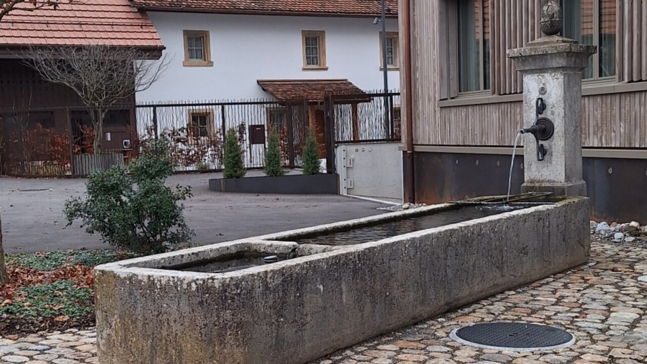 Historischer Dorfbrunnen in neuem Quartier