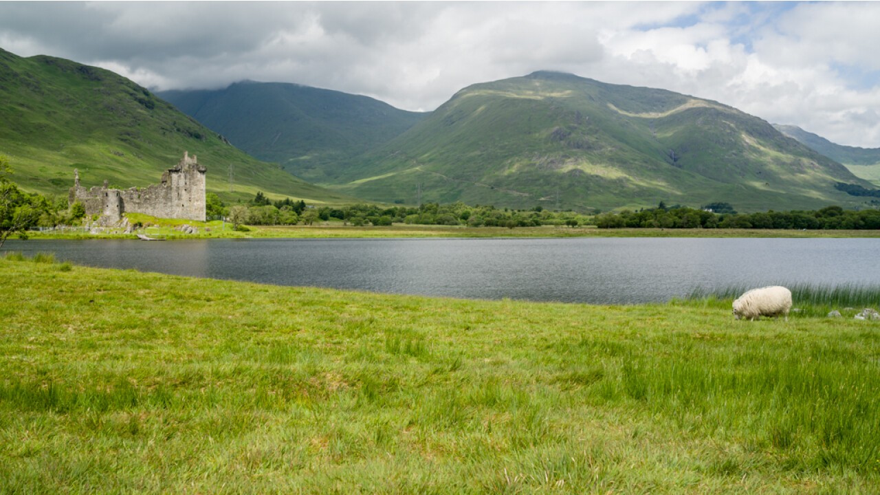 Kilchurn Castle mit grasendem Schaf vor Ben Eunaich