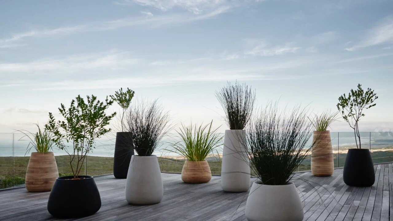 Indigenus planters exlusively in Switzerland available @hauserdesign