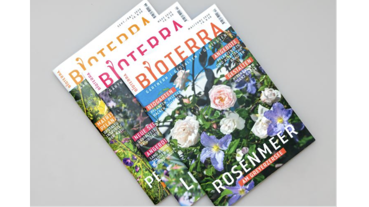 Find inspiration for your garden.