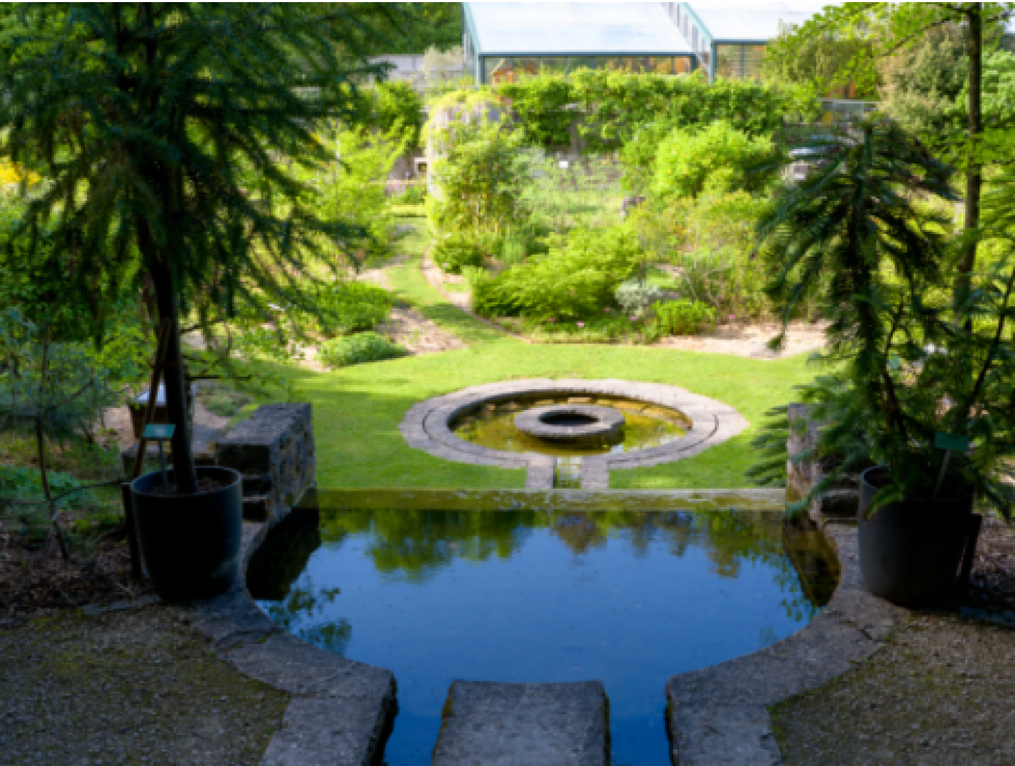 A lush green garden with a round stone fountain in the center, viewed from a small reflecting pond framed by potted trees and stone steps, with green plants and a greenhouse in the background.