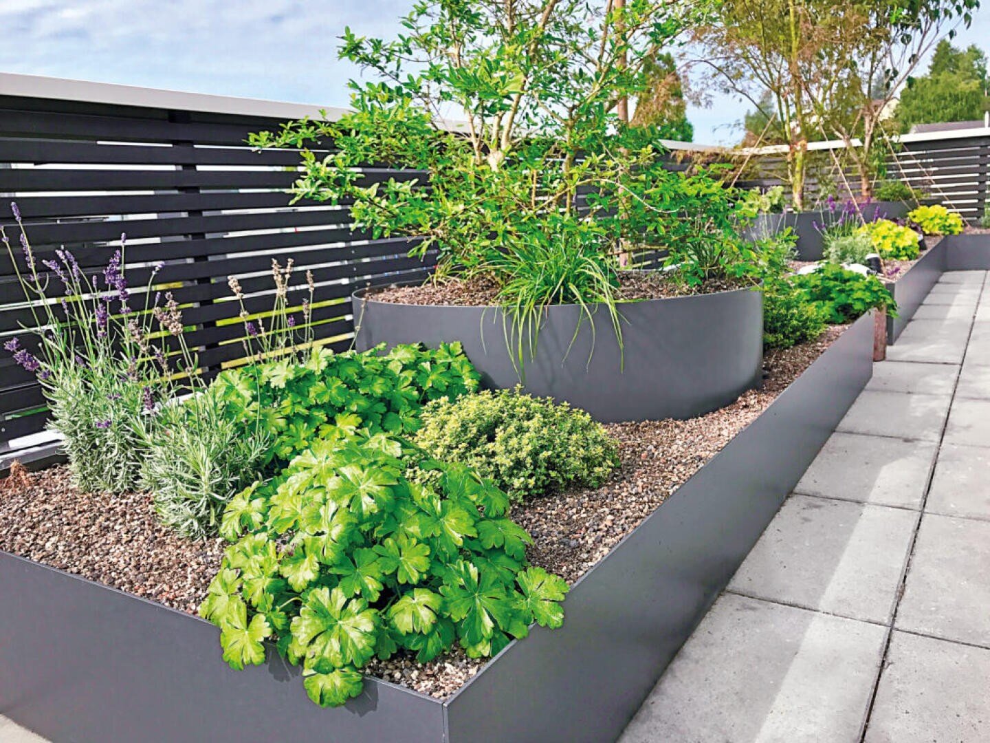 Moderner Dachgarten mit grauen Pflanzkübeln, die mit einer Vielzahl von Grünpflanzen und kleinen Sträuchern gefüllt sind, umgeben von Kies und begrenzt von einem schlichten horizontalen Lattenzaun.
