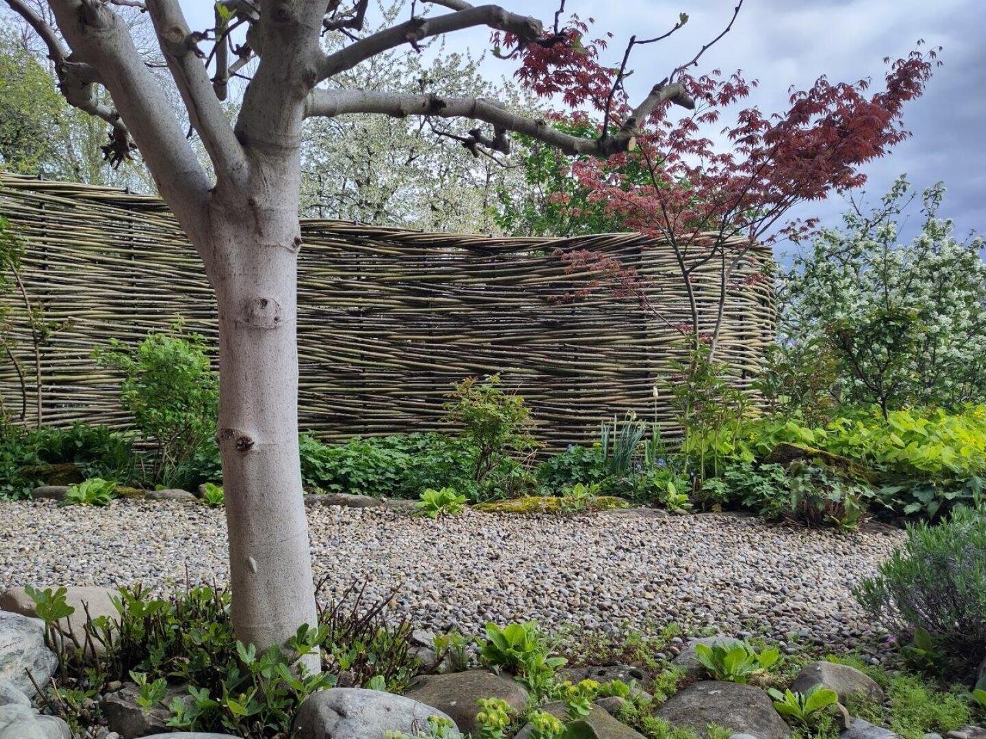 Ein Garten mit einem Kiesweg, grünen Pflanzen, einem Baum im Vordergrund und einem geflochtenen Weidenzaun im Hintergrund unter einem bewölkten Himmel.