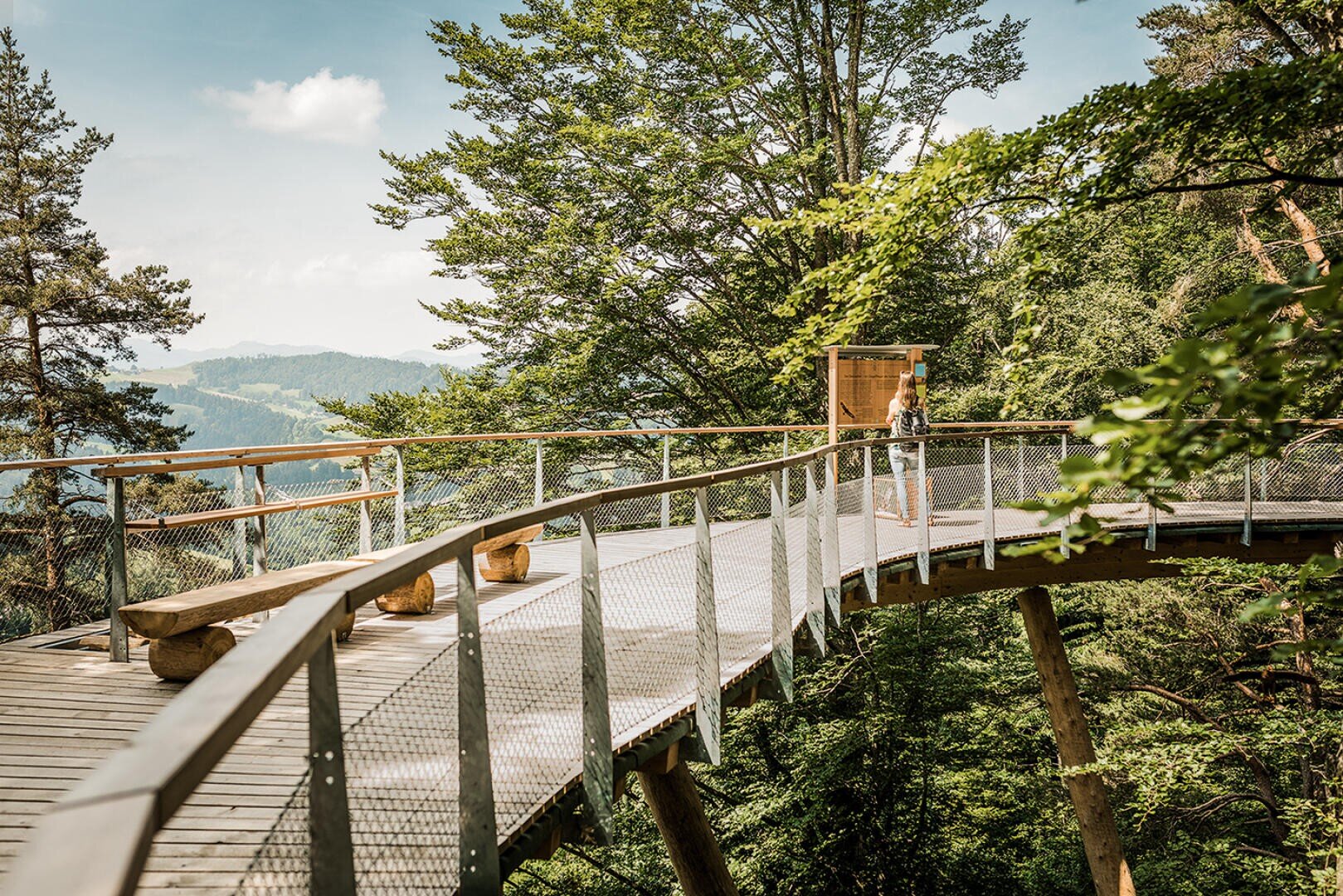 Eine Person steht auf einem erhöhten Holzsteg mit Metallgeländer, umgeben von üppigen grünen Bäumen und fernen Hügeln unter einem blauen Himmel mit Wolken.