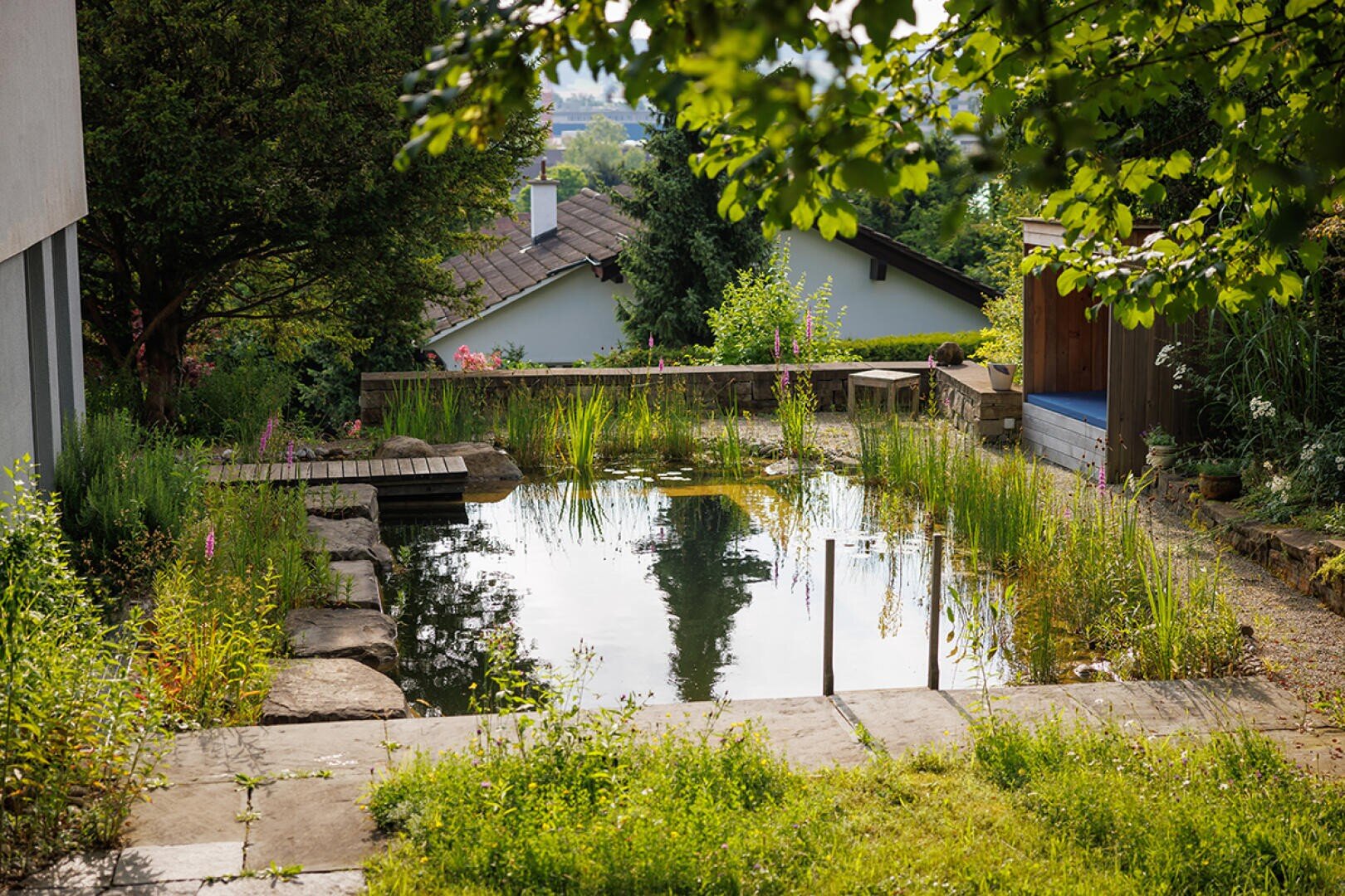 Ein natürlicher Schwimmteich im Hinterhof, umgeben von üppigem Grün, Steinwegen und einem kleinen Holzsteg, mit Häusern und Bäumen im Hintergrund an einem sonnigen Tag.