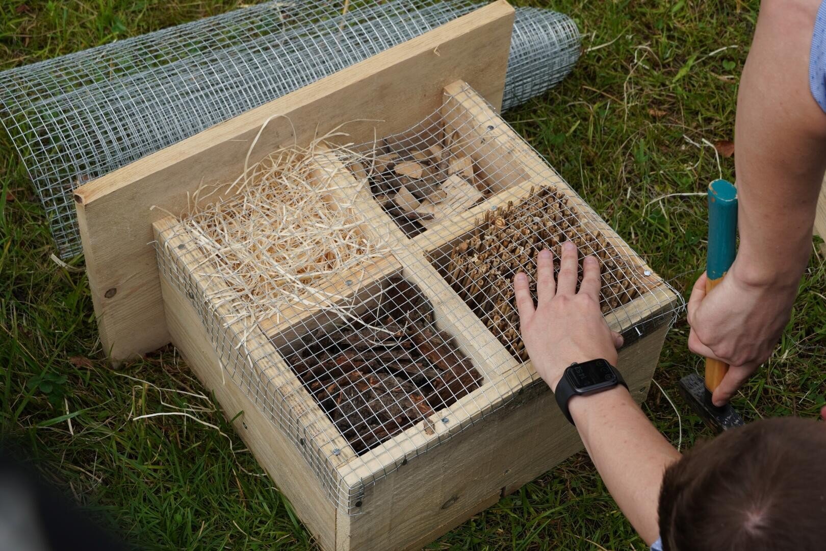 Eine Person baut eine Insektenbox mit vier Fächern, die Stroh, Rinde, Tannenzapfen und andere natürliche Materialien enthalten und mit einem Drahtgeflecht abgedeckt sind, auf Gras.