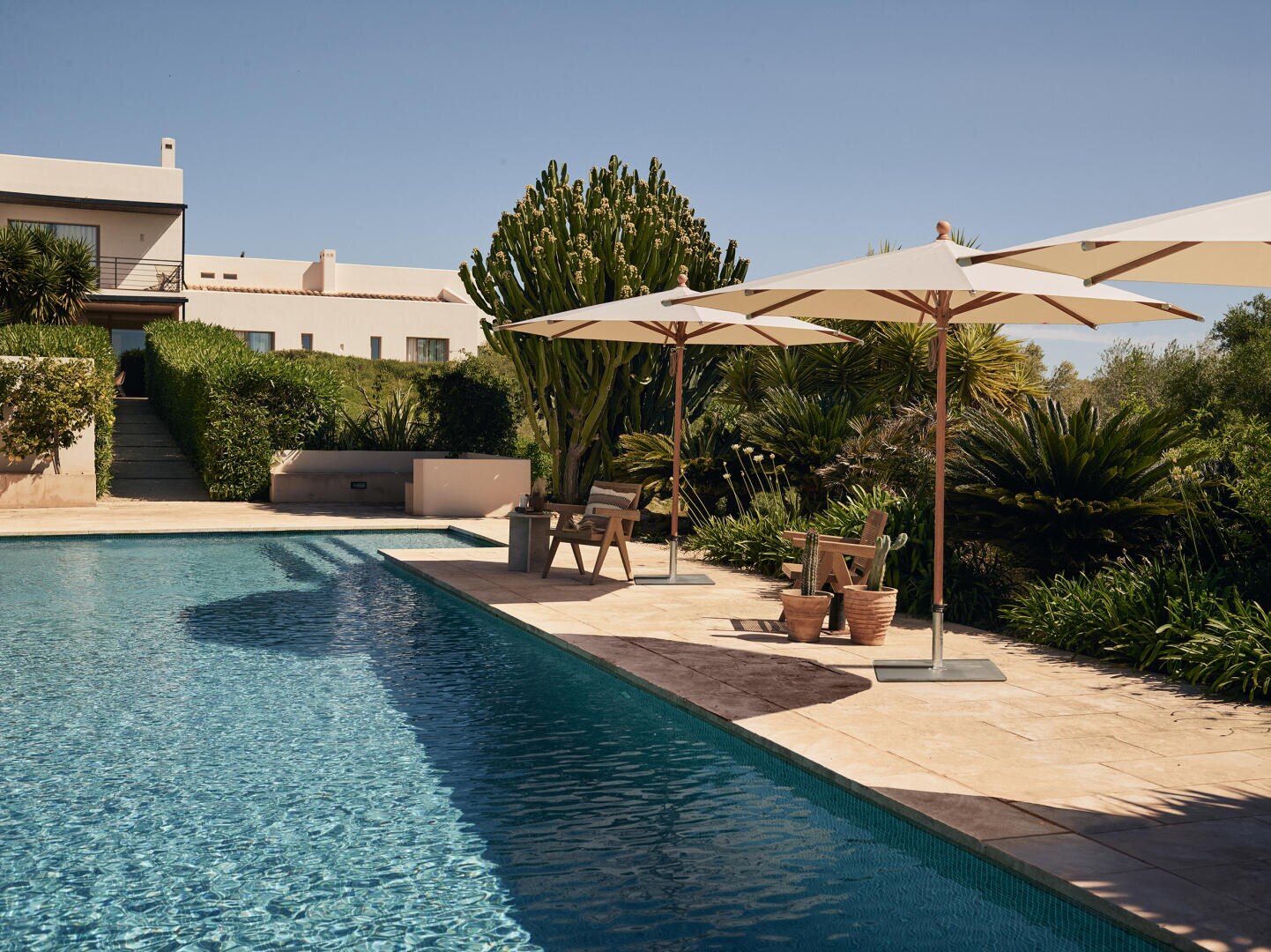 A serene outdoor pool beside a stone patio with lounge chairs and large white umbrellas, surrounded by lush greenery and cacti, with modern houses in the background under a clear blue sky.