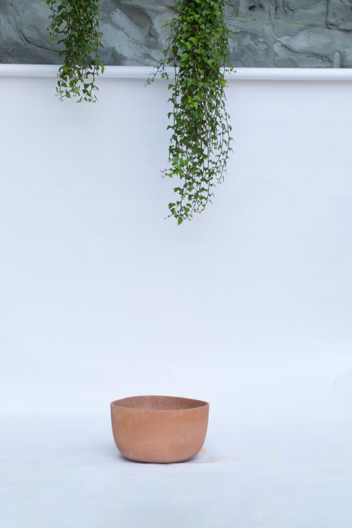 Ein hellbrauner Keramiktopf steht auf einer weißen Fläche mit grünen Blattranken, die von oben vor einem hellen Hintergrund herabhängen.