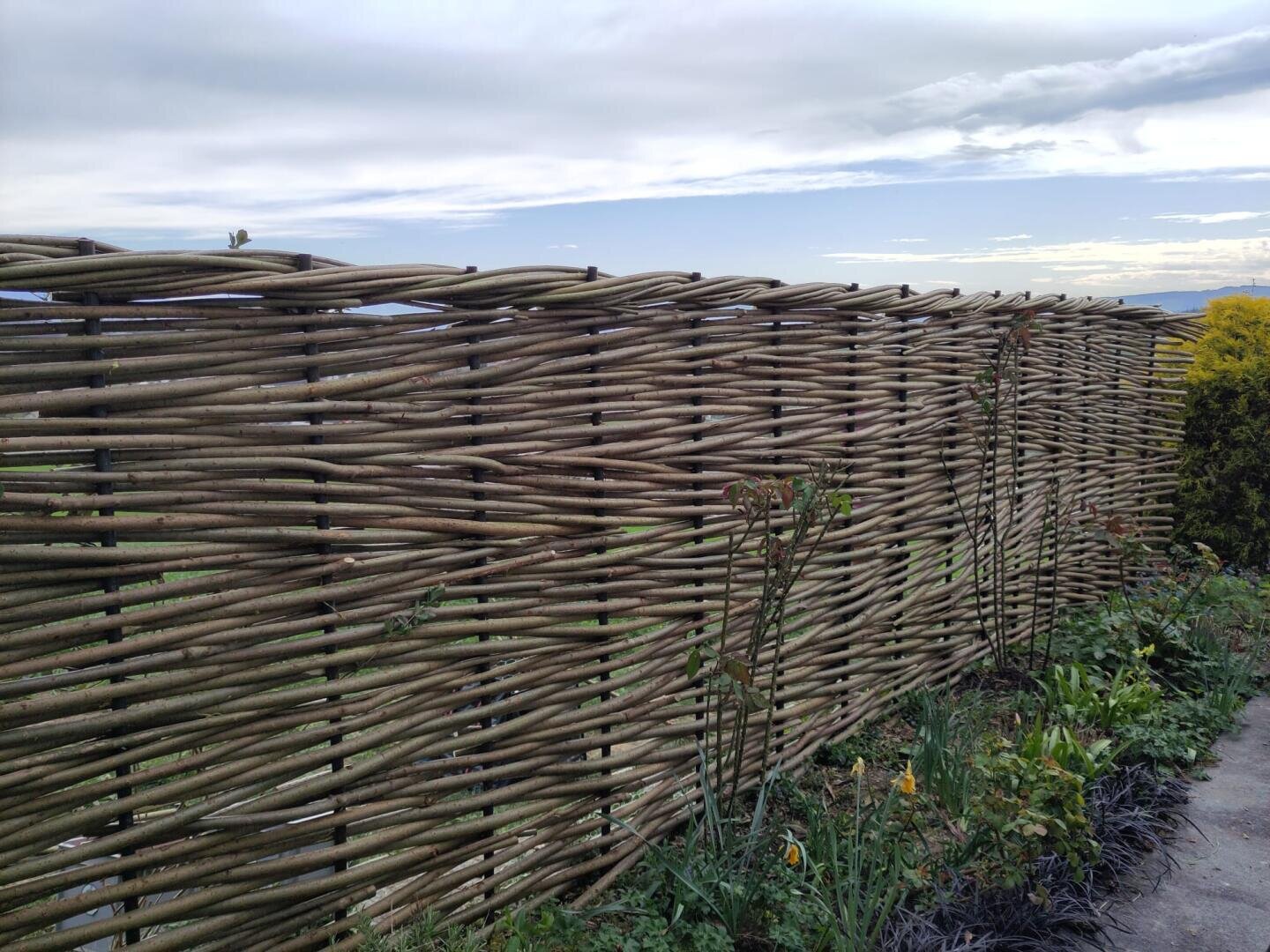 A high, woven wooden fence stretches along a garden bed with green plants and flowers. The sky is mostly cloudy with a few patches of blue. The ground next to the fence is paved.