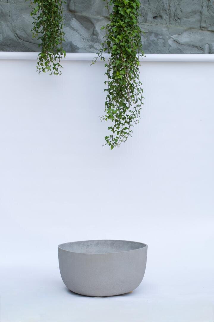 Eine große, leere graue Betonschale steht auf einer weißen Fläche. Zwei lange grüne Blattranken hängen von oben herab vor einer hellgrauen, strukturierten Wand im Hintergrund.