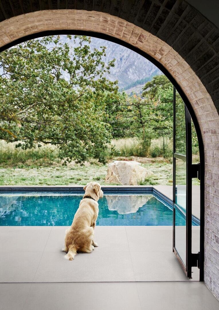 A golden retriever sits on a patio, looking out through an arched doorway at a clear blue swimming pool, with trees and a mountain visible in the background.