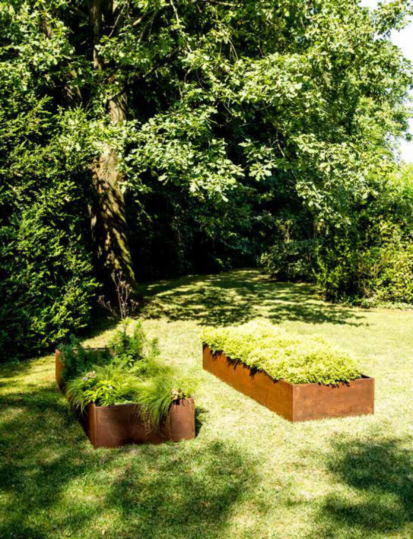 Two rectangular raised garden beds with green plants sit on a grassy lawn, surrounded by tall trees and shrubs in a sunny outdoor setting.
