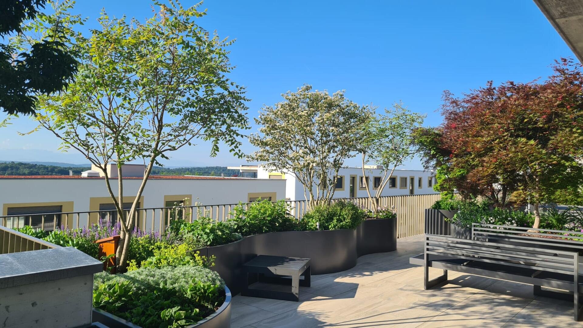 Eine sonnige Dachterrasse mit Bänken, Bäumen und üppigen Grünpflanzen in großen Pflanzkübeln. Im Hintergrund sind moderne Gebäude und Hügel unter einem klaren blauen Himmel zu sehen.