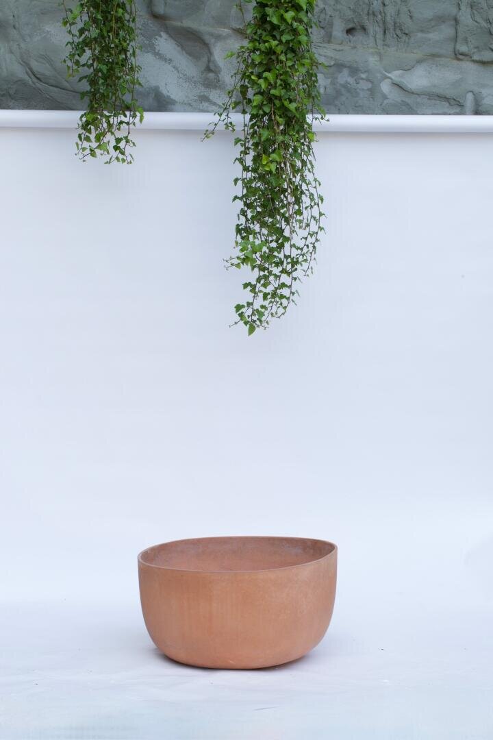 Ein schlichter Terrakotta-Topf steht auf einer weißen Fläche, von der zwei grüne Blattranken vor einem hellgrauen, strukturierten Hintergrund herabhängen.