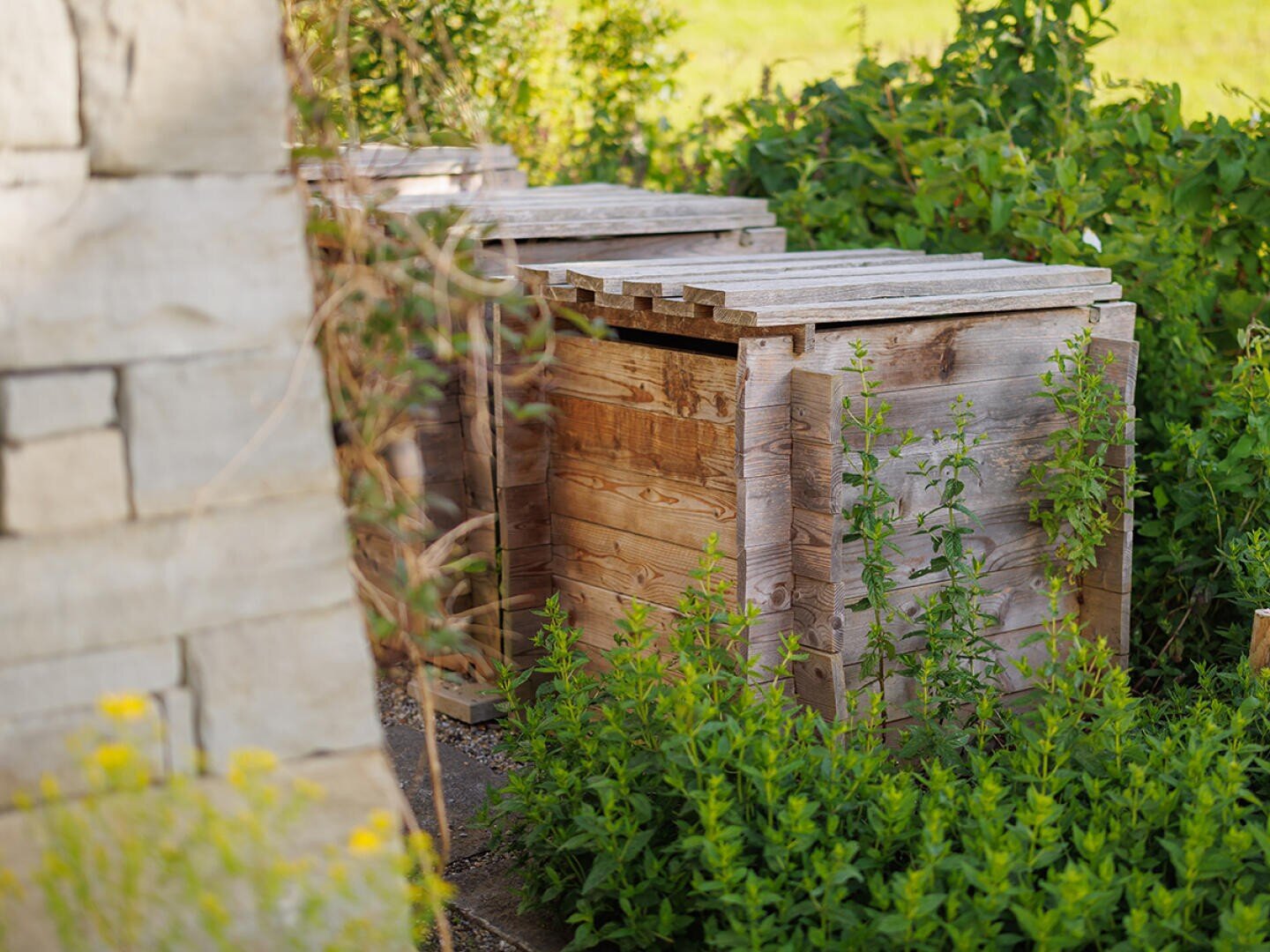 Drei hölzerne Komposttonnen mit Deckeln stehen im Freien, umgeben von Grünpflanzen und Laub. Auf der linken Seite des Bildes ist ein Teil einer Steinmauer zu sehen. Die Szene scheint in einem Garten oder Hinterhof zu spielen.