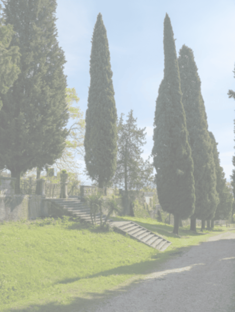 Eine Steintreppe führt hinauf zu einem Gartenbereich mit hohen Zypressen und Grünpflanzen neben einem Kiesweg unter einem klaren, hellen Himmel.