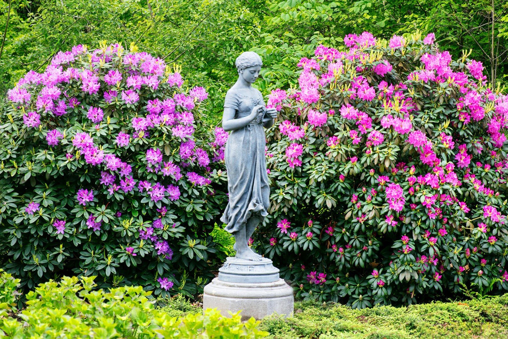 Eine graue Frauenstatue steht auf einem Sockel in einem Garten, umgeben von üppig grünem Laub und blühenden rosa und violetten Rhododendronsträuchern.