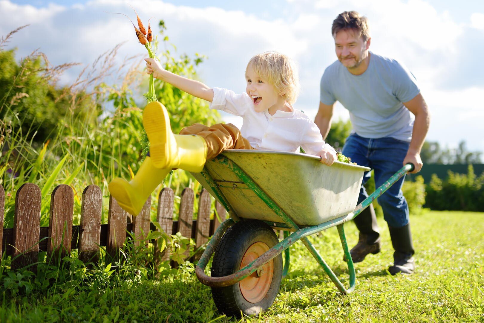Ein lächelnder Mann schiebt ein fröhliches Kind in einer Schubkarre durch einen grasbewachsenen Garten. Das Kind, das gelbe Stiefel trägt, lacht und hält einige Wildblumen hoch und genießt die spielerische Fahrt im Sonnenschein.