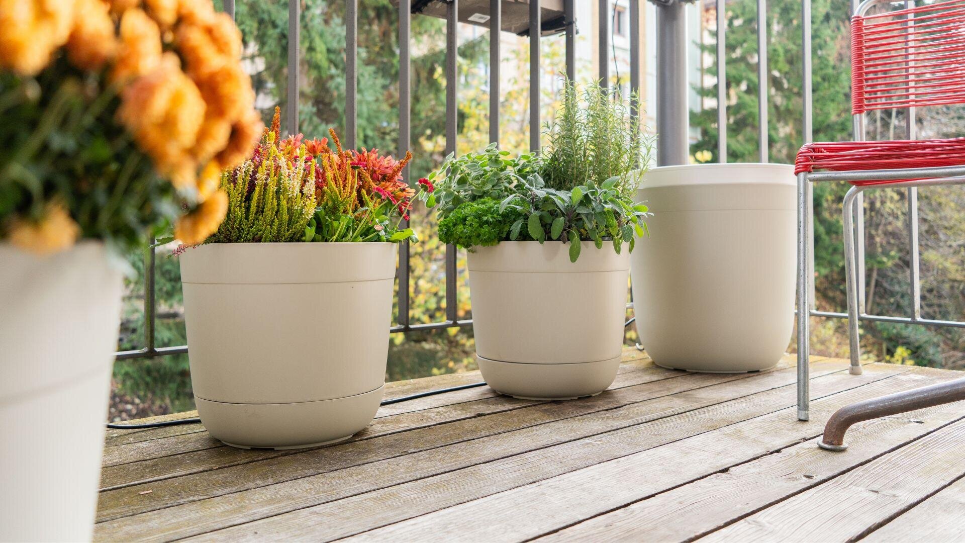 Auf einem Holzbalkon stehen drei beigefarbene Blumentöpfe mit verschiedenen grünen und blühenden Pflanzen. In der Nähe steht ein roter Stuhl, und im Hintergrund sind durch schwarze Geländer Bäume zu sehen.