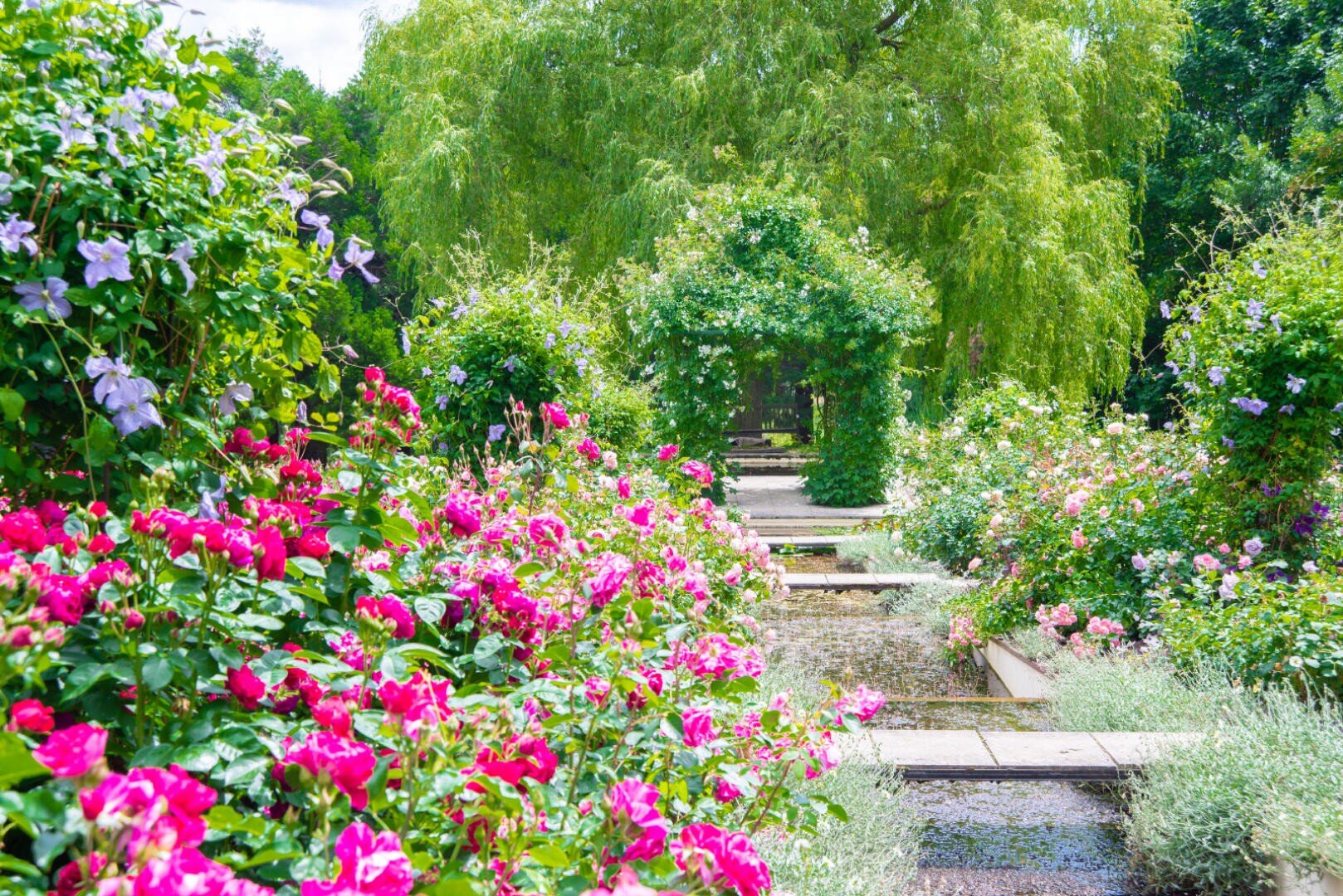 Ein üppiger Gartenweg ist mit leuchtend rosa und violetten Blumen gesäumt und führt zu einem grünen Torbogen. Das Sonnenlicht fällt durch die hohen Bäume und schafft eine helle und friedliche Atmosphäre.