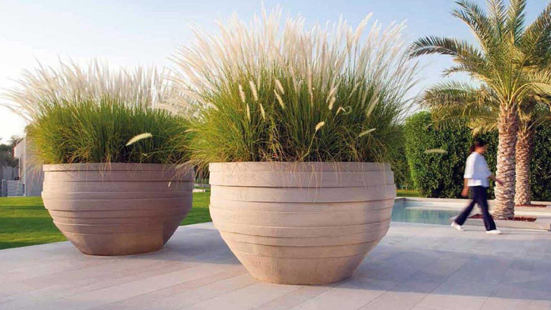 Zwei große, runde Pflanzgefäße aus Stein, gefüllt mit hohem Ziergras, stehen auf einer Terrasse in der Nähe eines Pools. Im Hintergrund geht eine Person unter freiem Himmel an Palmen und gepflegten Hecken vorbei.