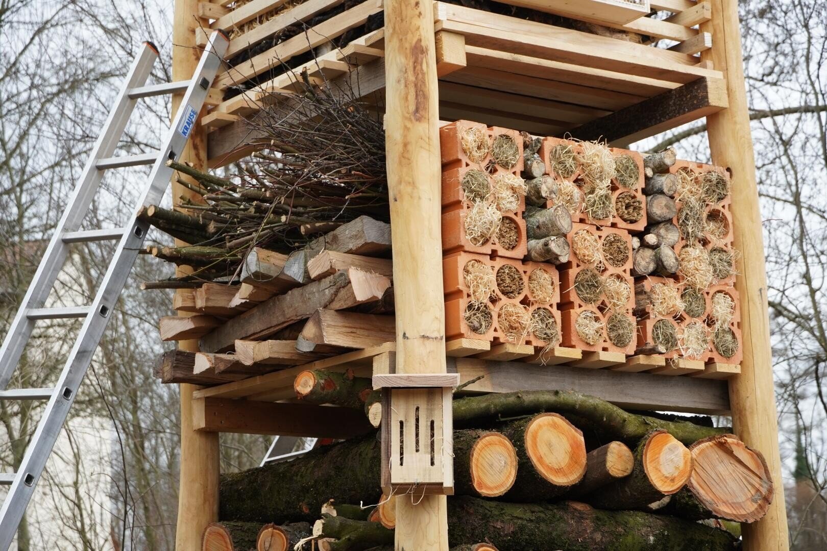 Eine Nahaufnahme eines großen hölzernen Insektenhotels mit Baumstämmen, Zweigen und Hohlziegeln neben einer Leiter. Im Hintergrund sind Bäume ohne Blätter zu sehen.