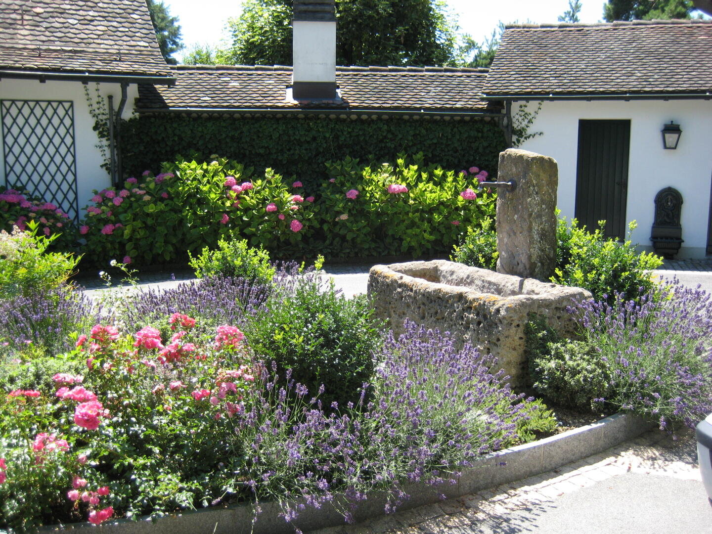Ein steinerner Wasserbrunnen steht inmitten eines üppigen Gartens mit blühenden rosa Blumen und Lavendel, der an einem sonnigen Tag vor einem weißen Gebäude mit Schindeldach und grüner Tür liegt.