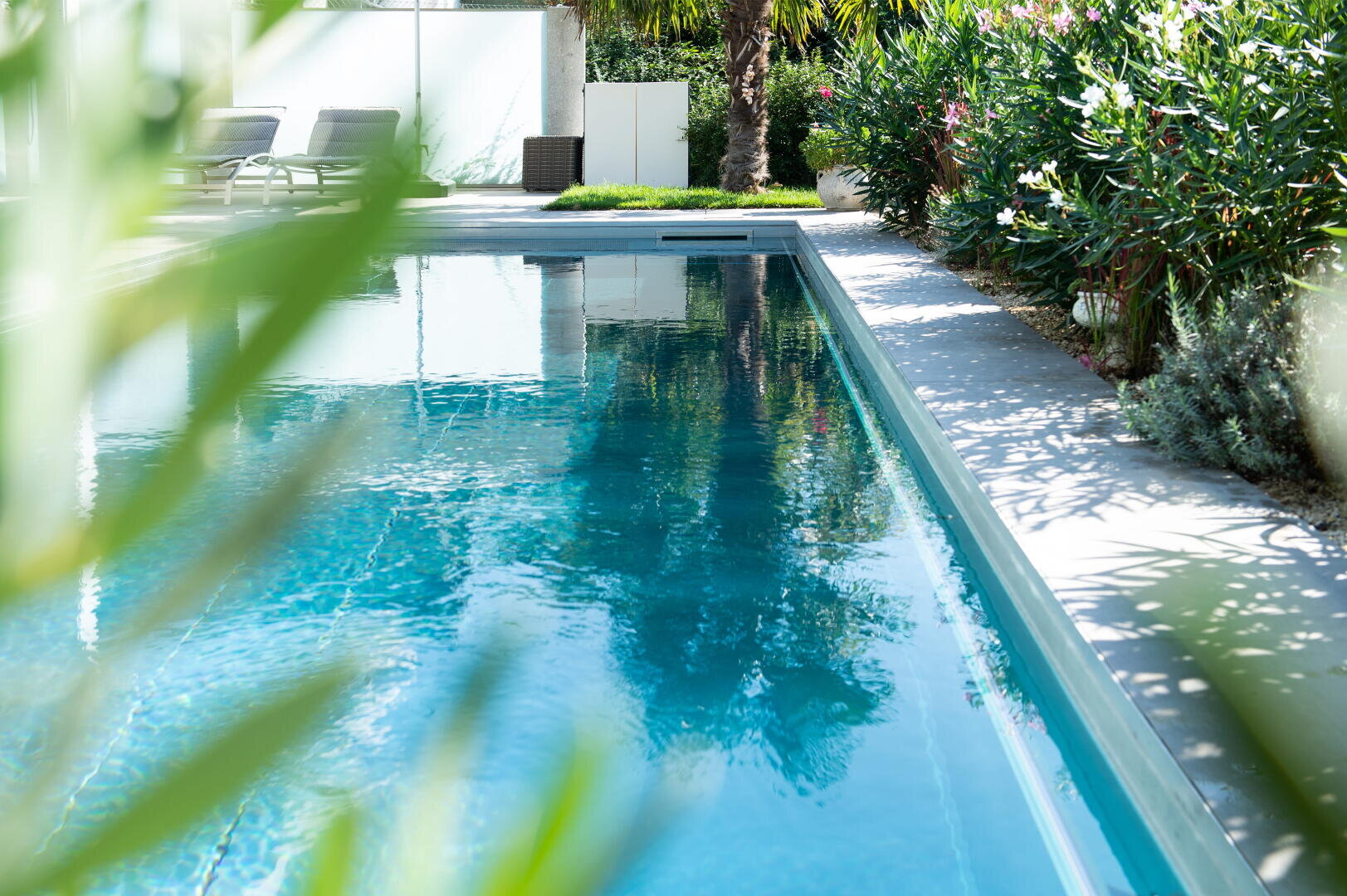 Ein klarer blauer Swimmingpool, umgeben von üppigen grünen Pflanzen, mit Liegestühlen und einem kleinen Tisch im Hintergrund unter hellem Sonnenlicht.