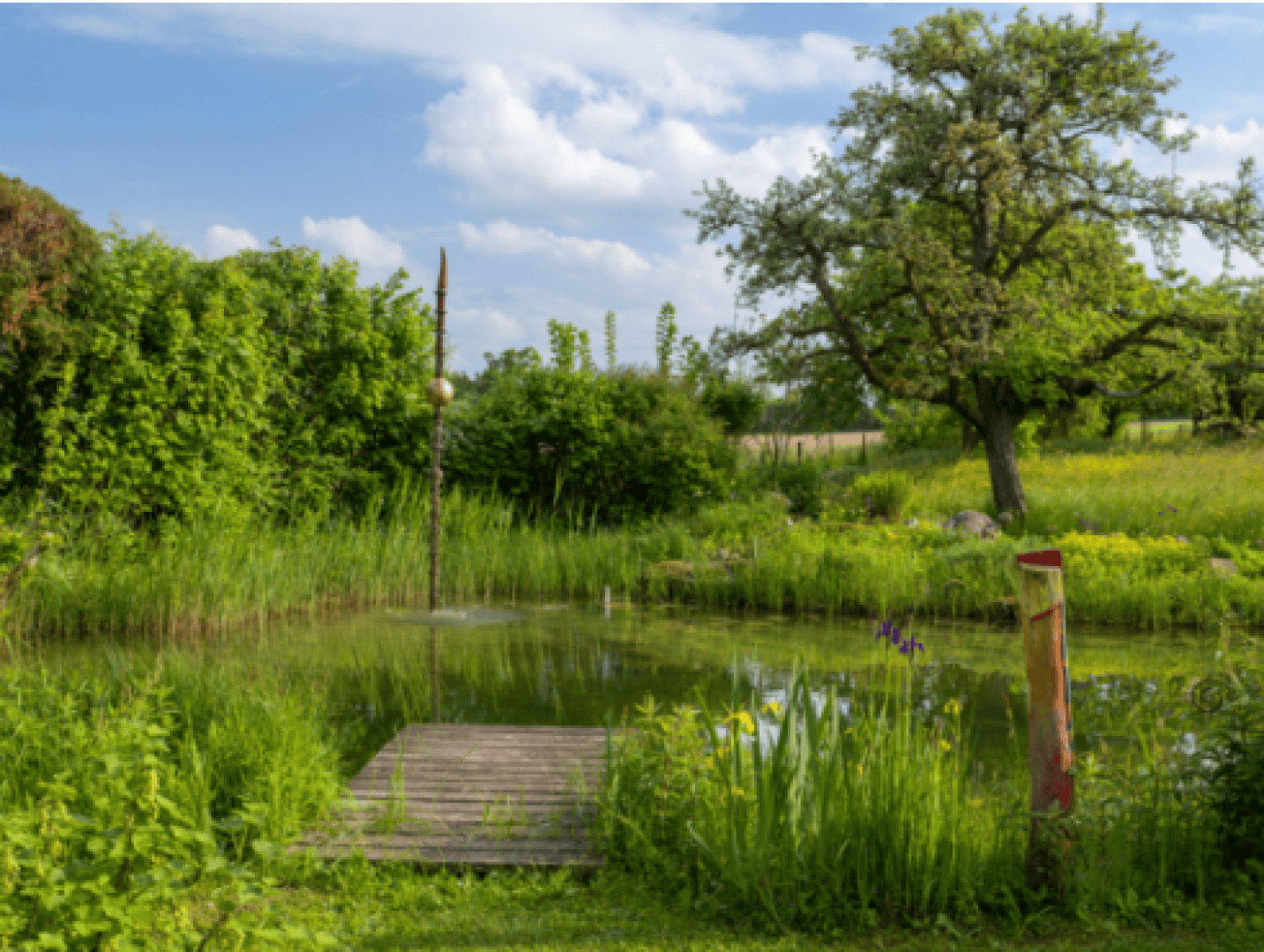 A small wooden footbridge leads into a natural pond surrounded by lush green plants, tall grasses and trees under a partly cloudy sky in a peaceful garden.