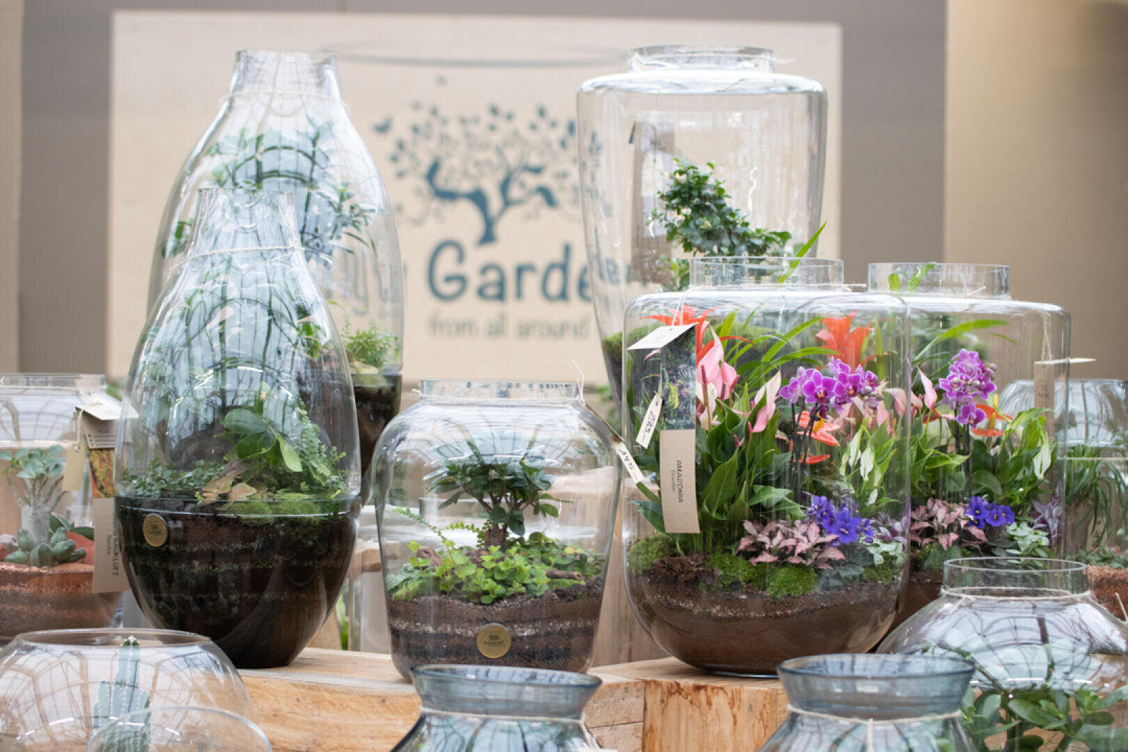 Mehrere Glasterrarien in verschiedenen Formen und Größen enthalten grüne Pflanzen und bunte Blumen, die auf Holzständern vor einem unscharfen Hintergrund mit gärtnerischer Beschriftung ausgestellt sind.