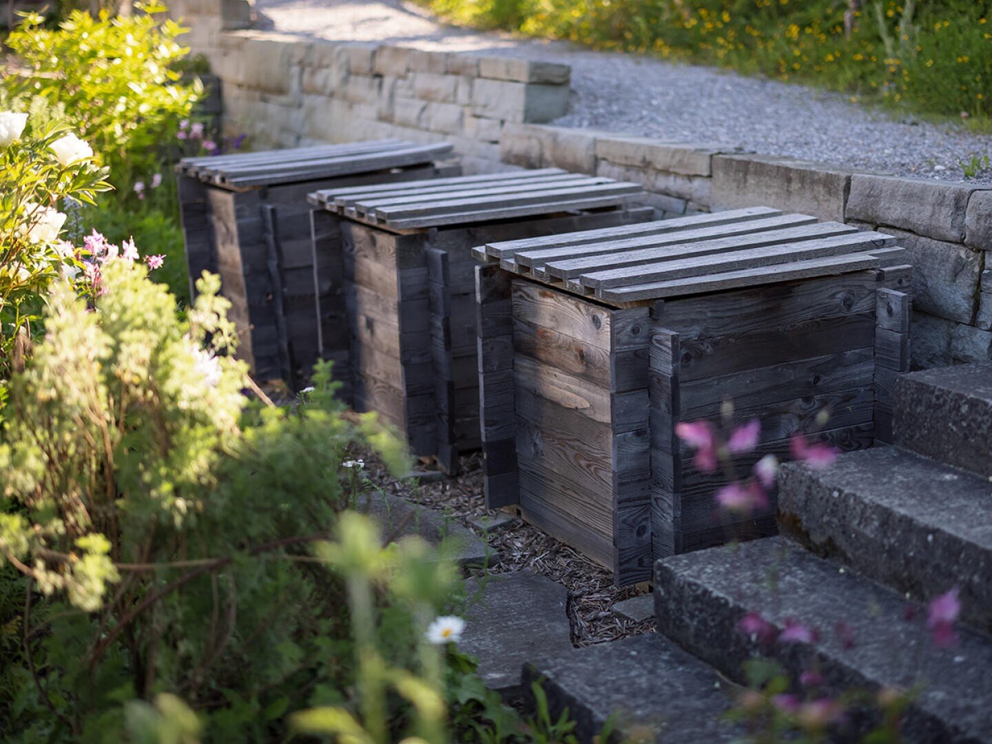 Drei hölzerne Komposttonnen stehen neben Steinstufen und einer Steinmauer in einem Garten, umgeben von grünen Pflanzen und Blumen. Das Sonnenlicht dringt durch das Laub und wirft schräge Schatten.