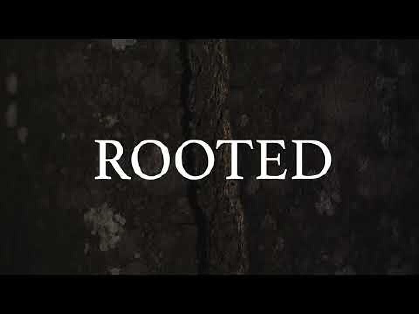 Weißer Text mit der Aufschrift ROOTED erscheint zentriert über einem dunklen, strukturierten Hintergrund, der an Baumrinde oder rauen Stein erinnert und ein natürliches und erdiges visuelles Thema schafft.