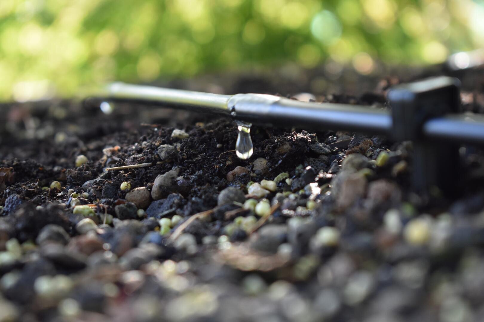Close-up of a black drip irrigation pipe releasing a drop of water onto the ground covered with small stones and pellets, against a blurred green background.