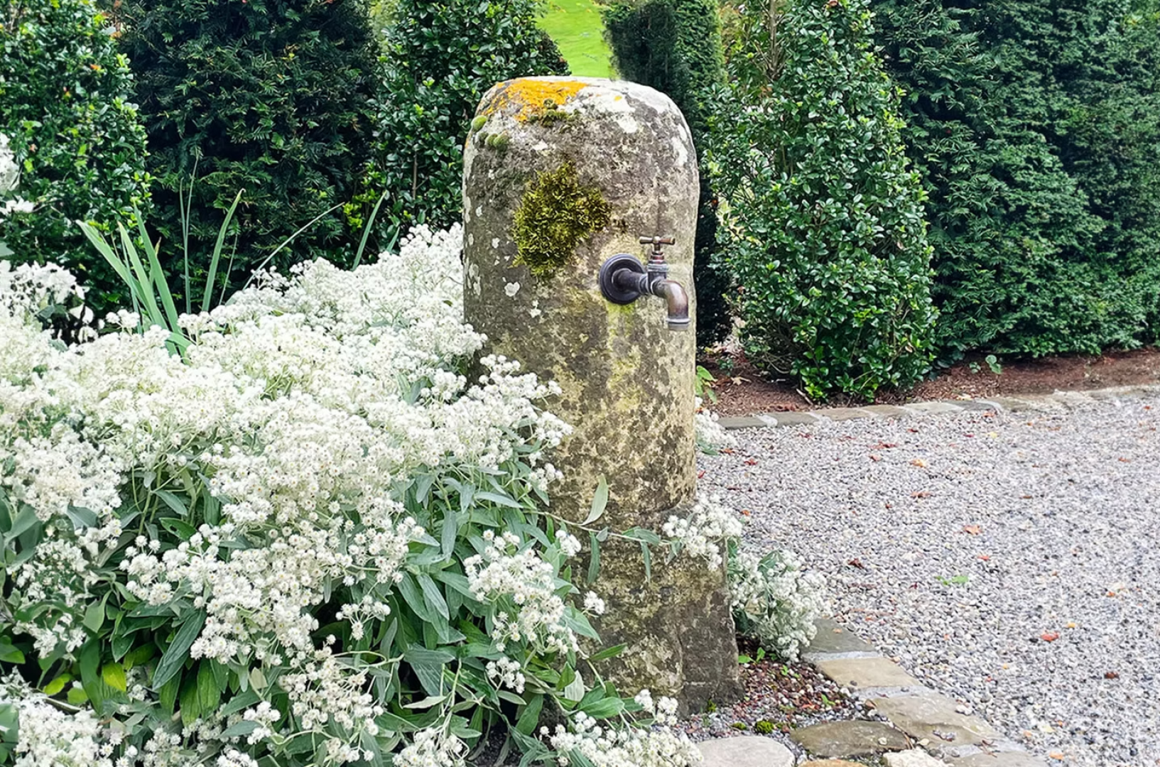 A stone water tap surrounded by white flowering plants and greenery, with gravel and paving stones in the foreground.