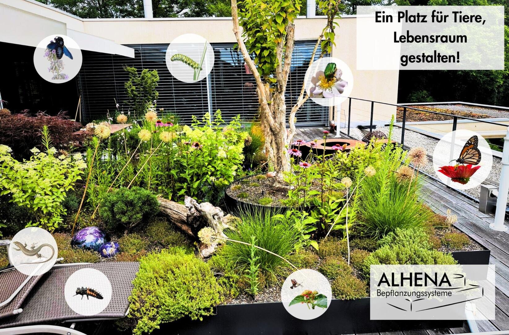 Ein Dachgarten mit verschiedenen Grünpflanzen und Bäumen, hervorgehobenen Bildern von Insekten, Raupen und Schmetterlingen und einem deutschen Text: Ein Platz für Tiere, Lebensraum gestalten! und ALHENA Bepflanzungssysteme.