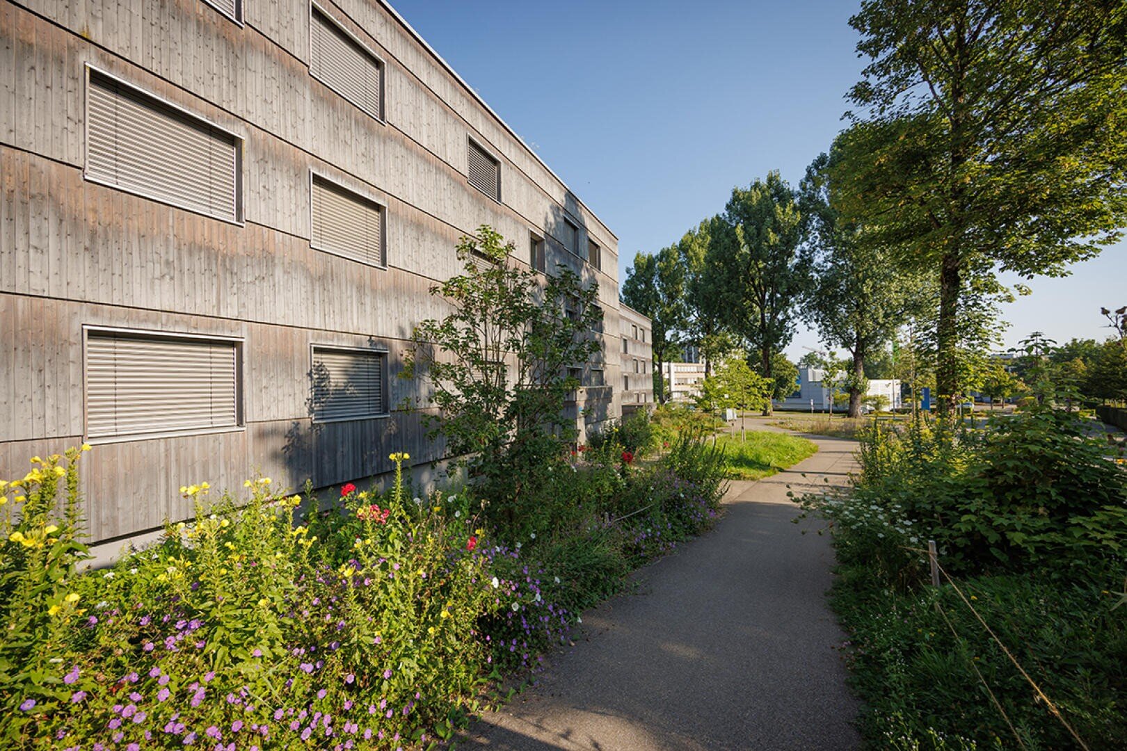 Ein modernes hölzernes Wohnhaus mit geschlossenen Fensterläden, umgeben von üppigem Grün, bunten Blumen und einem gepflasterten Weg unter einem klaren blauen Himmel.