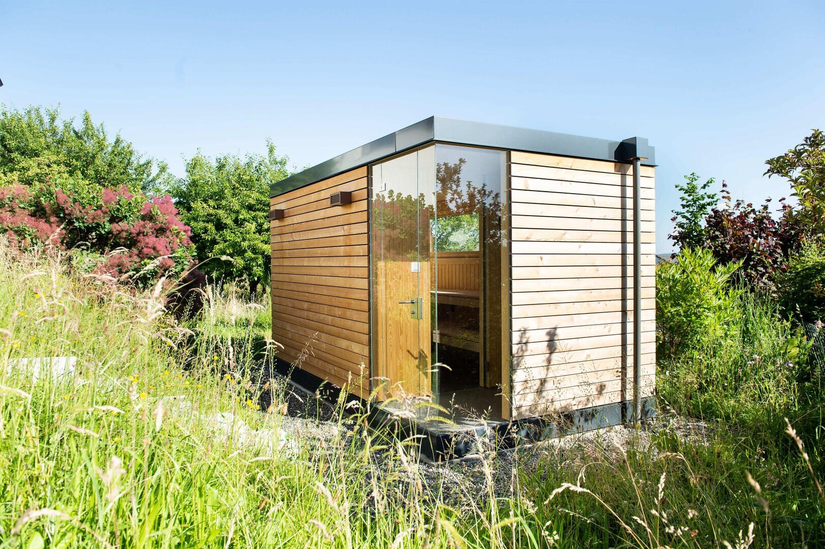 Eine kleine, moderne Holzhütte mit großen Glasfenstern ist umgeben von hohem Gras und üppigem Grün unter einem klaren blauen Himmel.