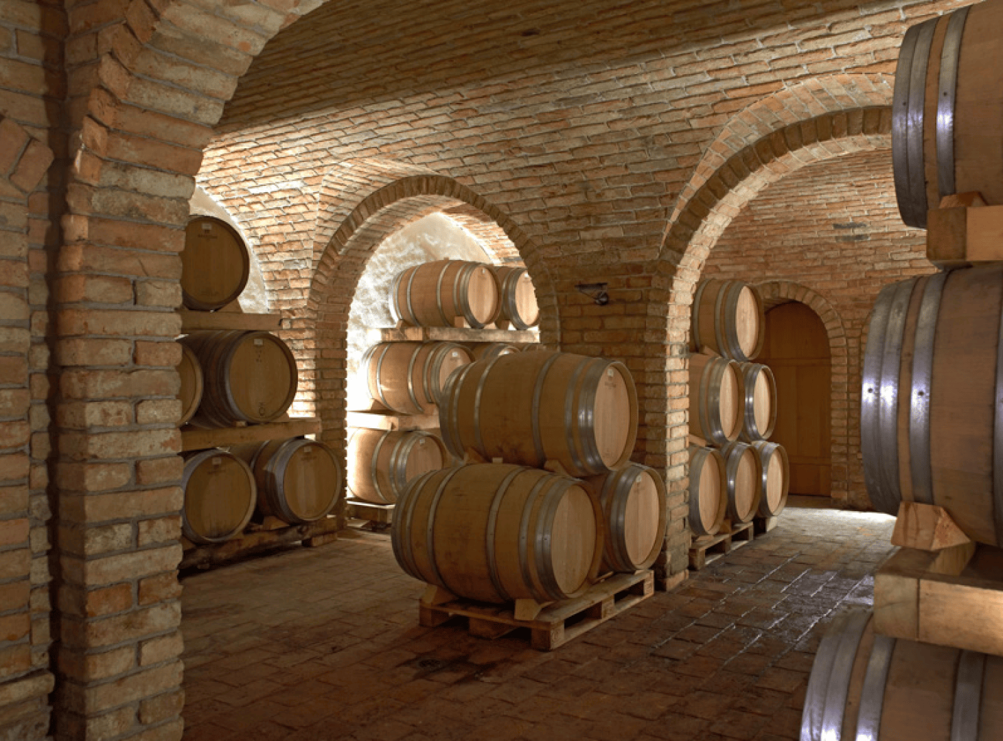 Ein schummrig beleuchteter Weinkeller mit gewölbten Ziegeldecken und -wänden, in dem mehrere Holzfässer auf Paletten gestapelt sind. Der Boden ist aus Ziegeln und die Atmosphäre ist rustikal und historisch.